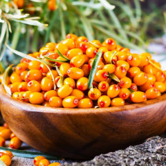 Саженцы облепихи сорт Ева 2 летние, конт. 2 л