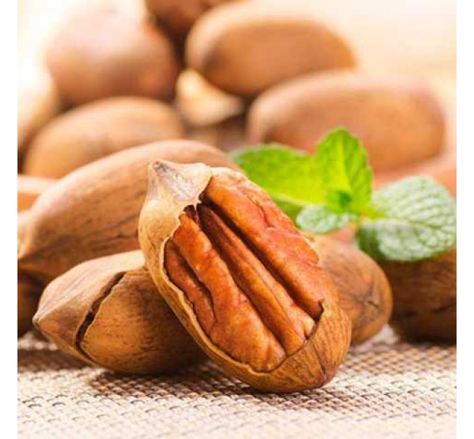 Саженцы ореха пекан сорт Буссерон 2 летние, конт. 2 л