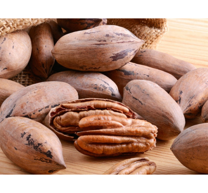 Саженцы ореха пекан сорт Буссерон 2 летние, конт. 2 л