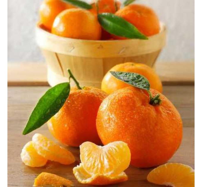 Мандарин сорт Ковано-Васе