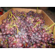 Саджанці винограду сорт Шоколадний
