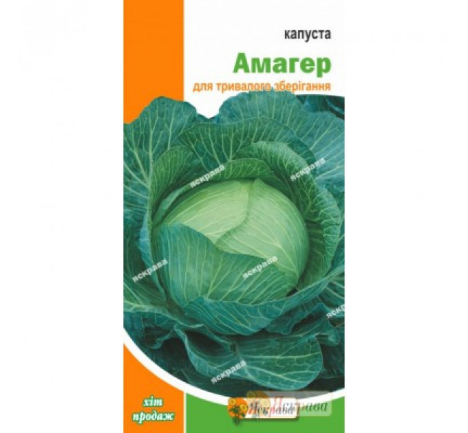 Капуста белокочанная "Амагер", 0,5 г