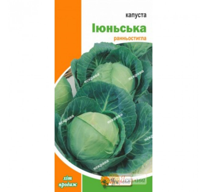 Капуста белокочанная "Июньская", 0,5 г