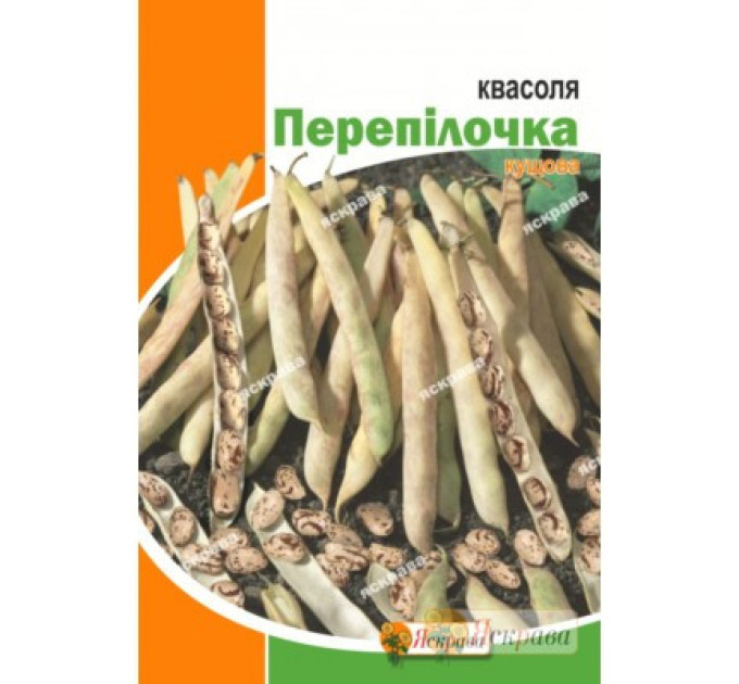 Насіння квасолі кущовий "Перепілочка", 20 г
