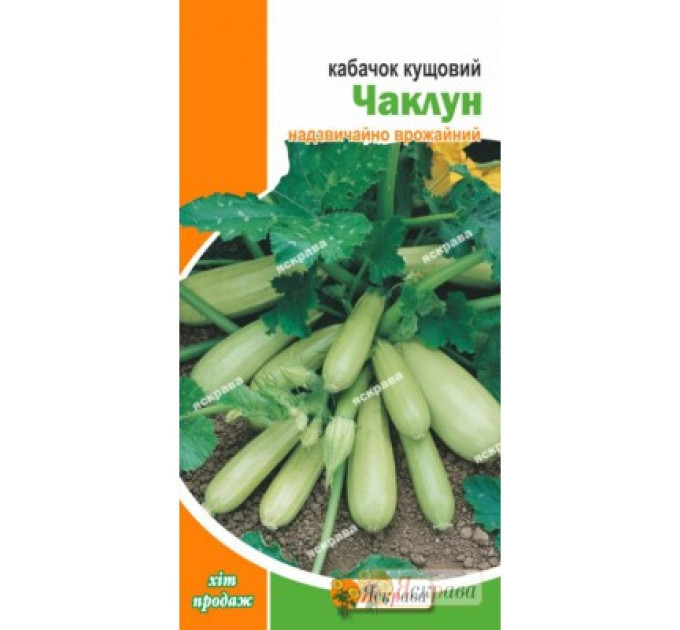 Семена кабачка "Чаклун", 3 г