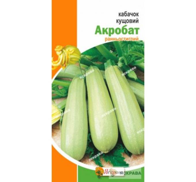 Семена кабачка "Акробат", 3 г