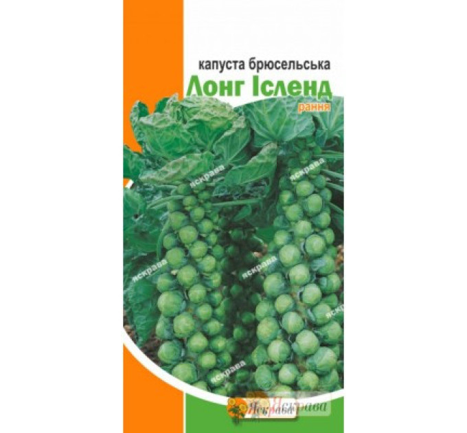 Капуста брюссельская "Лонг Айленд", 0.5 г