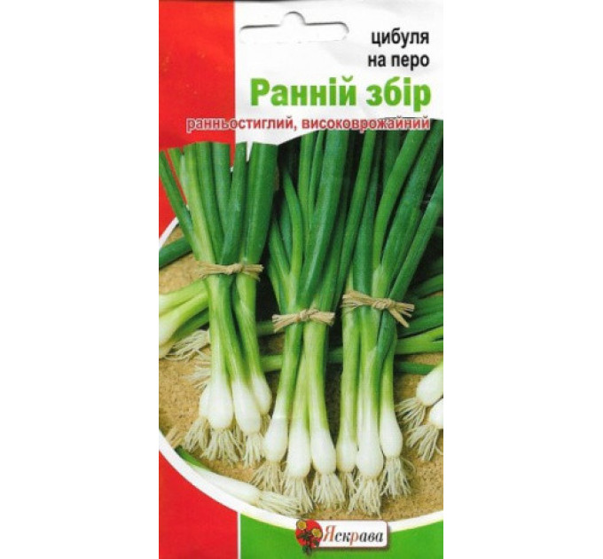 Семена лука на перо Ранний сбор , 1гр