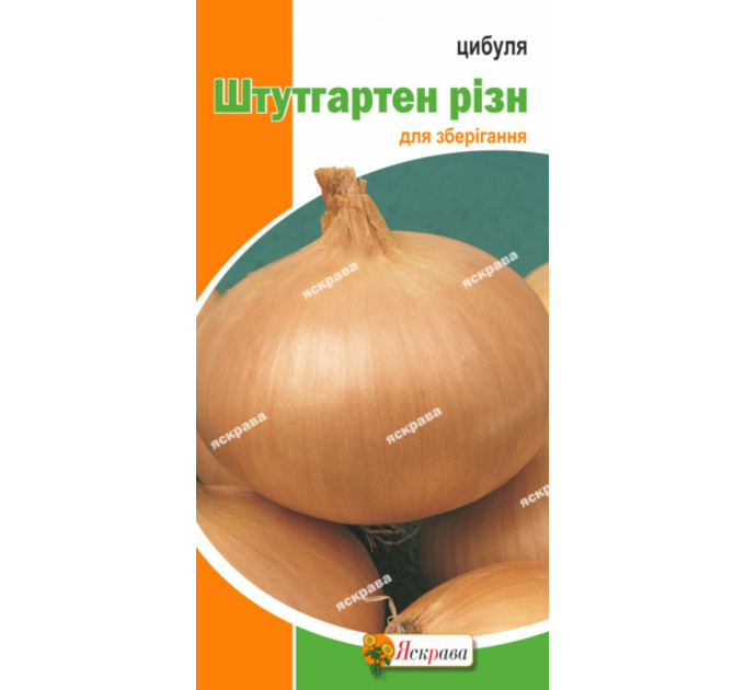 Семена лука Штутгартен Ризн , 1гр