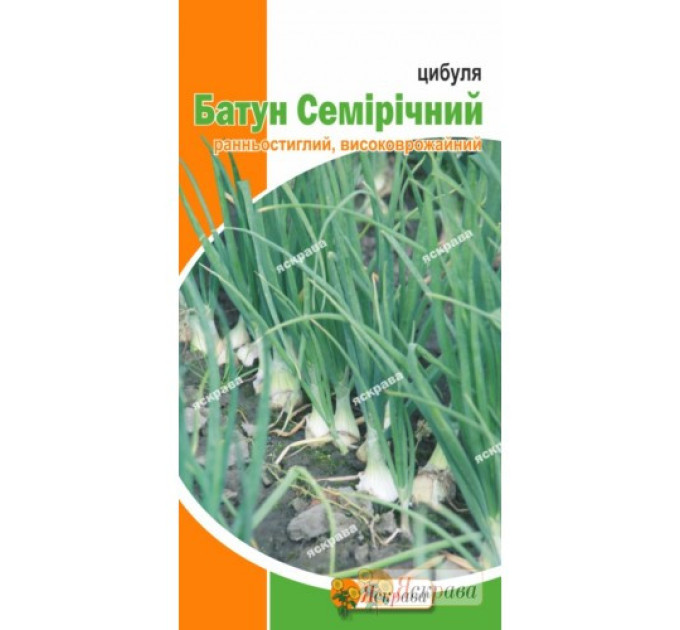 Семена лука Батун Семилетний , 1гр
