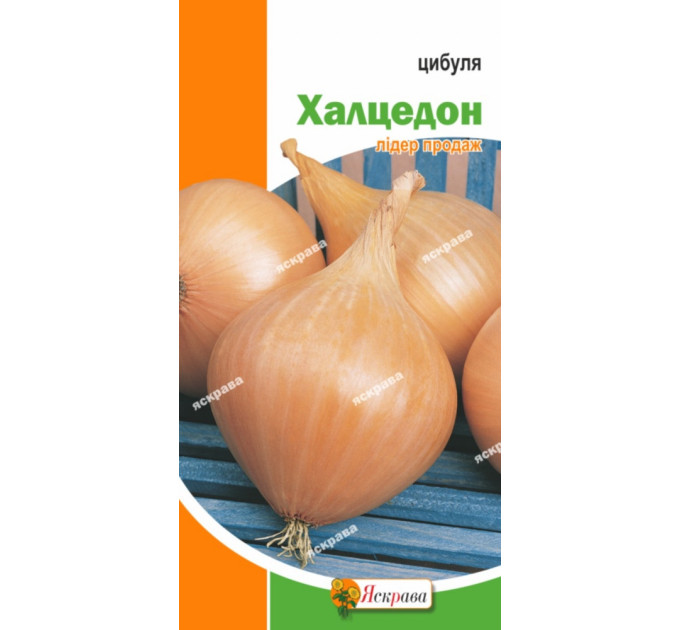 Семена лука Халцедон , 1гр