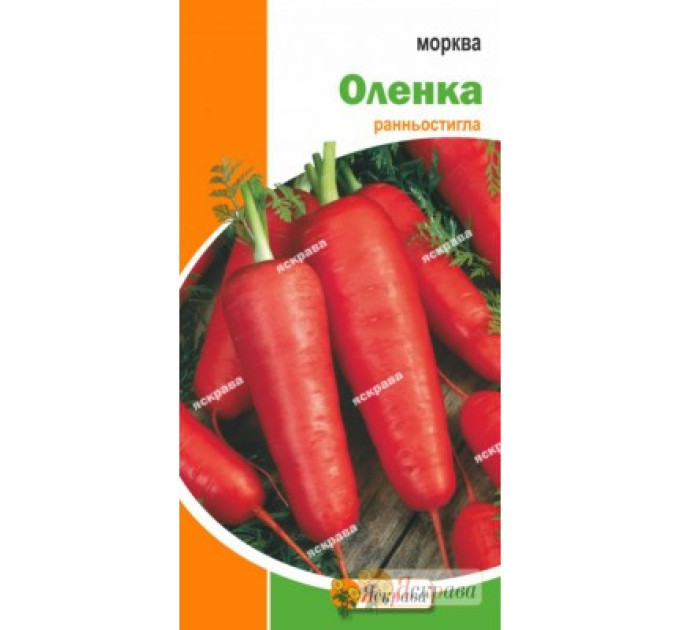 Семена моркови "Алёнка", 3 г