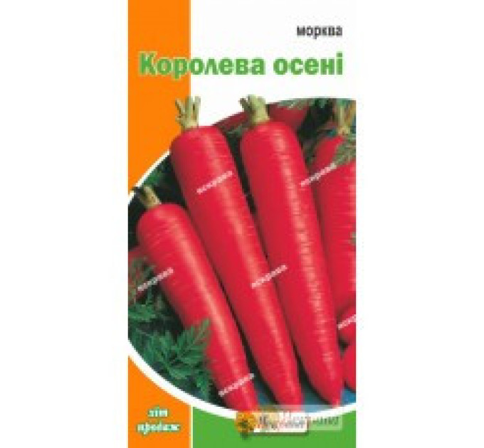 Насіння моркви "Королева Осені", 3 г