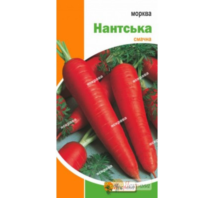Насіння моркви "Нантська", 3 г