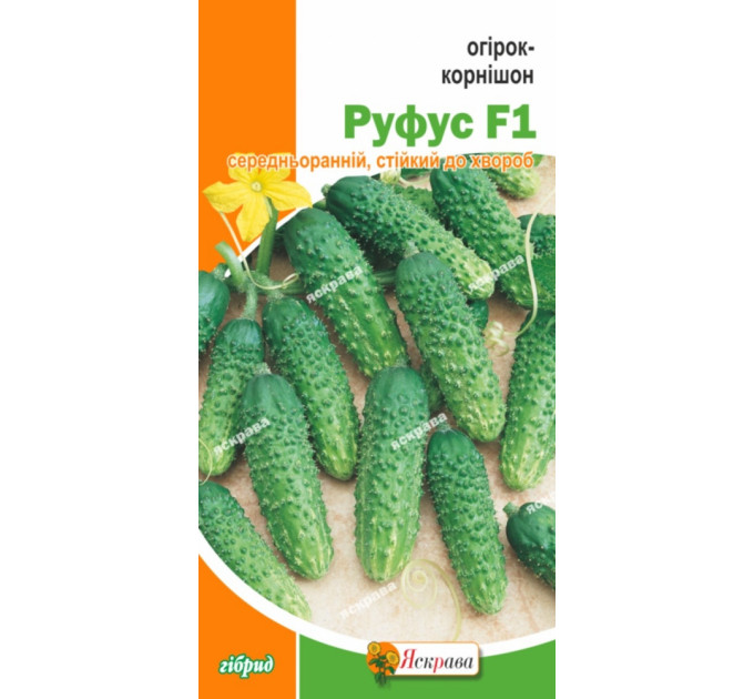Насіння огірка пч. Руфус F1 0,5 гр