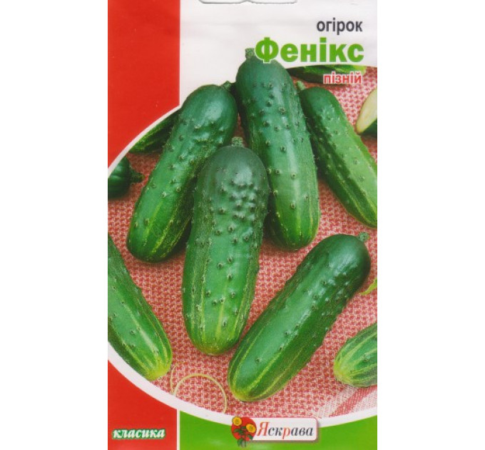 Семена огурца пч. Феникс , 1 гр