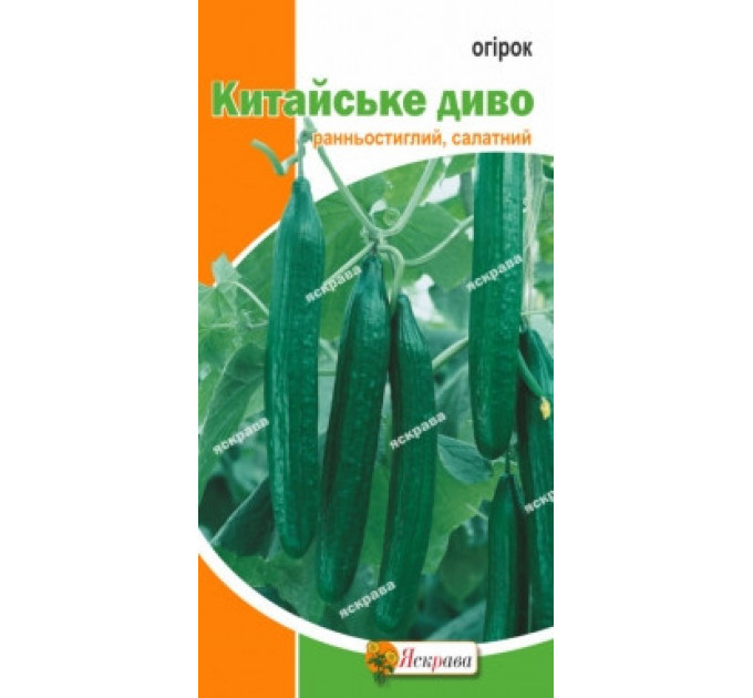 Семена огурца пч. Китайское чудо , 0,5 гр