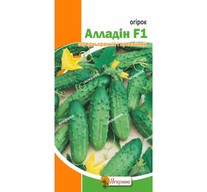 Насіння огірка пч. Аладін , 0.5 гр