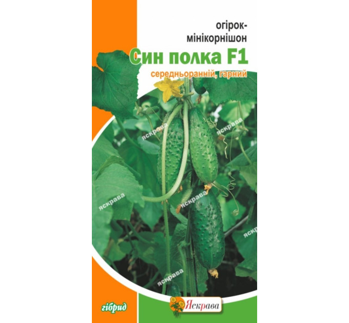 Насіння огірка пч. Син Полку, 0.5 гр