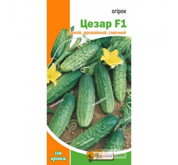 Семена огурца пч. Цезарь , 0.5 гр