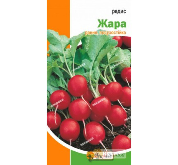 Редис "Жара", 3 г