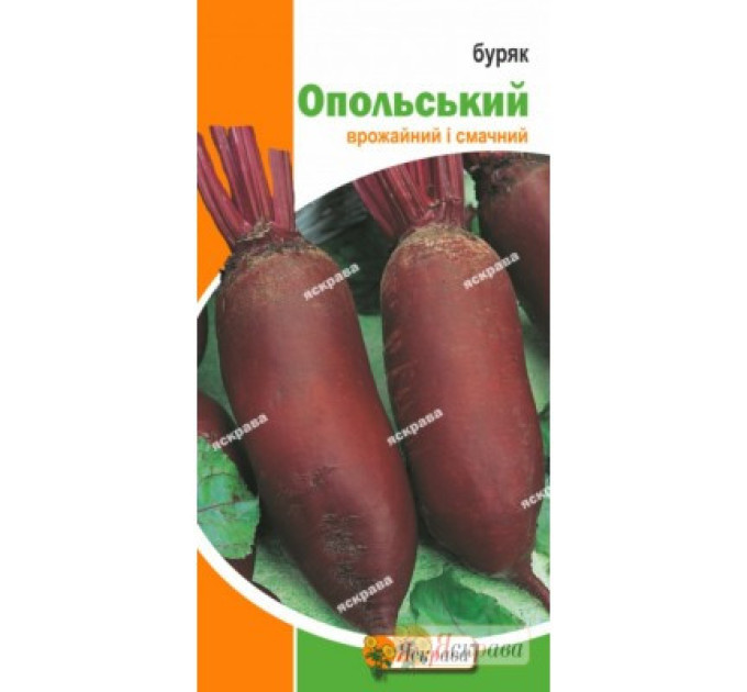 Буряк Опольська їдальня , 3 гр