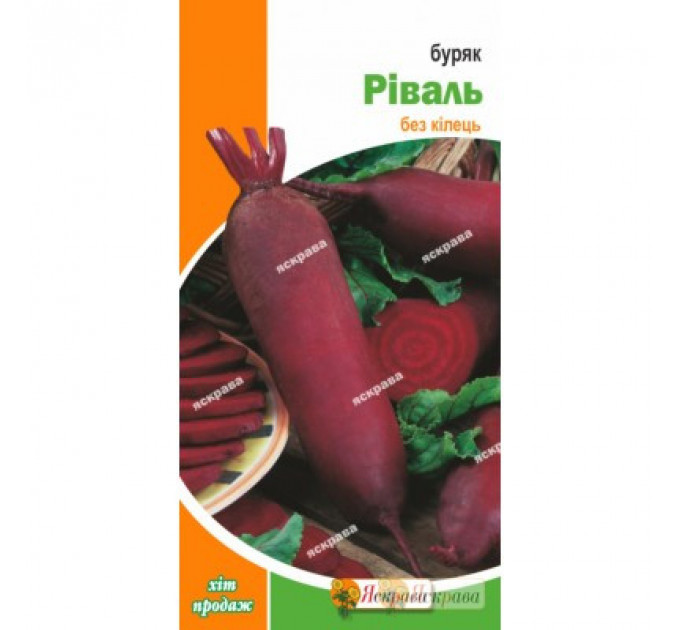 Буряк столовий Ріваль, 3 гр