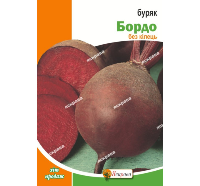 Буряк столовий Бордо, 3 гр
