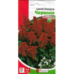 Семена цветов Шалфей блестящий Красный , 0.2 гр