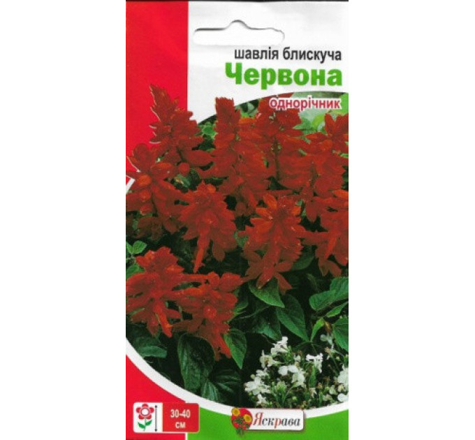 Семена цветов Шалфей блестящий Красный , 0.2 гр