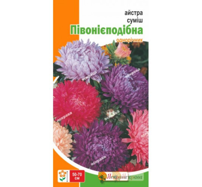 Семена цветов Астра Смесь пионообразная, 0.3 гр