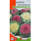 Насіння квітів капуста декоративна Бахромчата, 0.2 гр