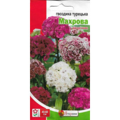 Семена цветов Гвоздика Турецкая махровая, 0.5 гр