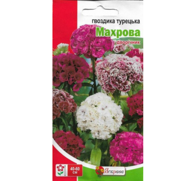 Семена цветов Гвоздика Турецкая махровая, 0.5 гр