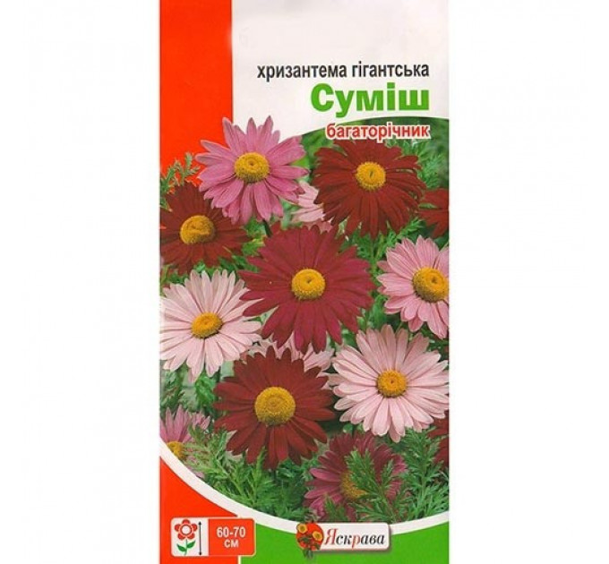 Семена цветов Хризантема гигантская смесь, 0.2 гр