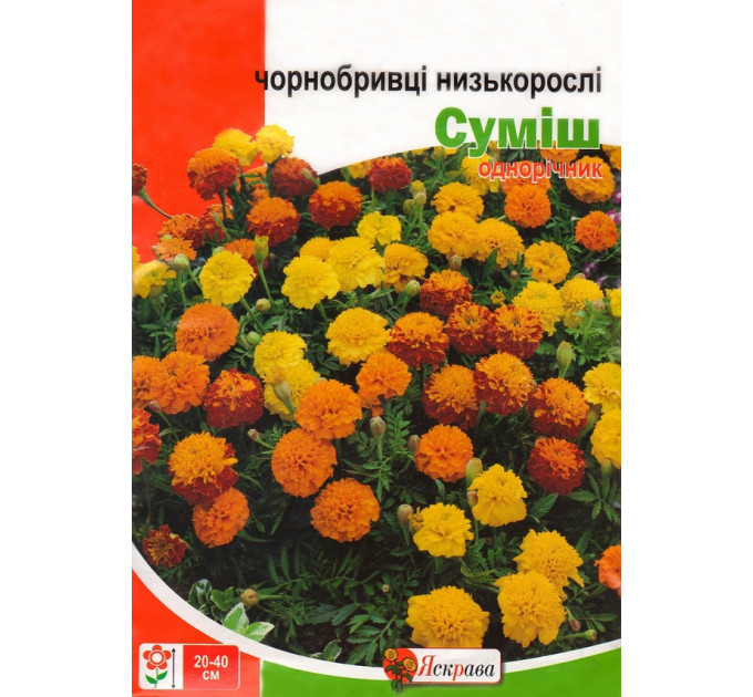 Семена цветов Чернобривцы (бархатцы) низкие, 0.5 гр