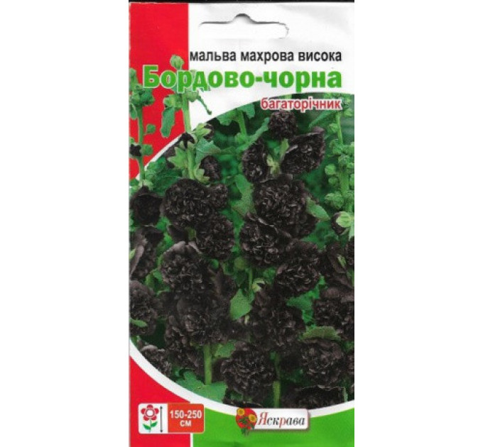 Семена цветов Мальва махровая высокая Бордово-черная, 0.3 гр