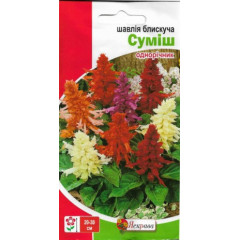 Семена цветов Шалфей блестящий Смесь, 0.2 гр