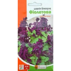 Семена цветов Шалфей блестящий Фиолетовый, 0.2 гр