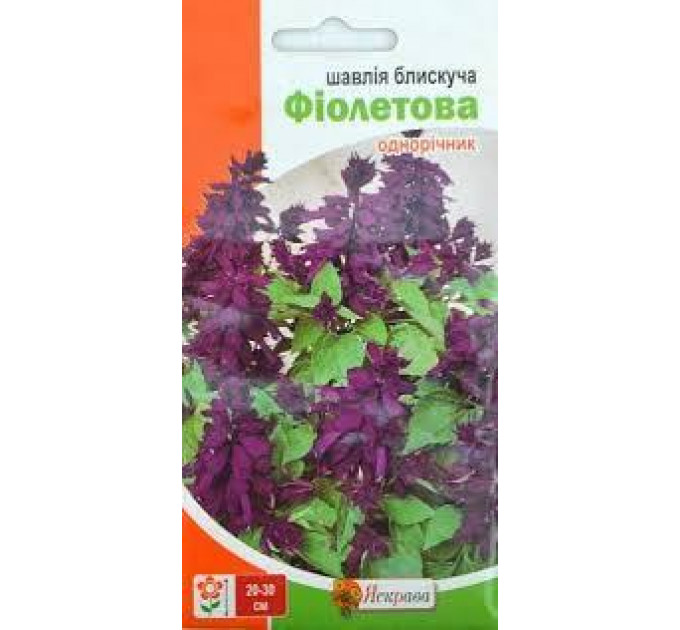 Семена цветов Шалфей блестящий Фиолетовый, 0.2 гр