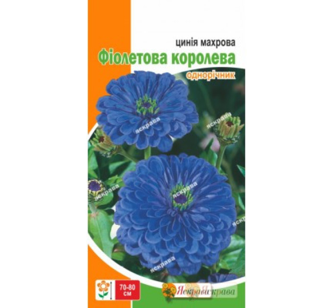 Семена цветов Циния махровая Королева, 0.5 гр