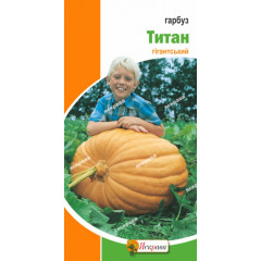 Насіння гарбуза сорт Титан , 3 гр