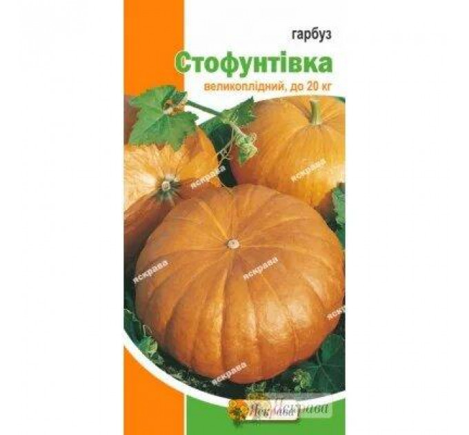Семена тыквы сорт Стофунтовка, 2 гр