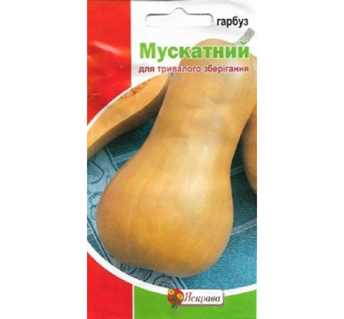Семена тыквы сорт Мускатная, 1 гр