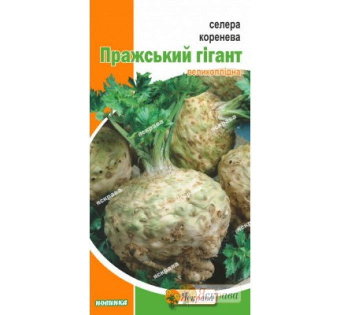 Семена сельдерея "Пражский гигант", 0.2 г