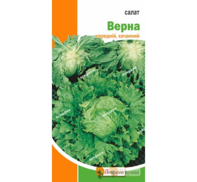 Семена салата "Верна", 2 г