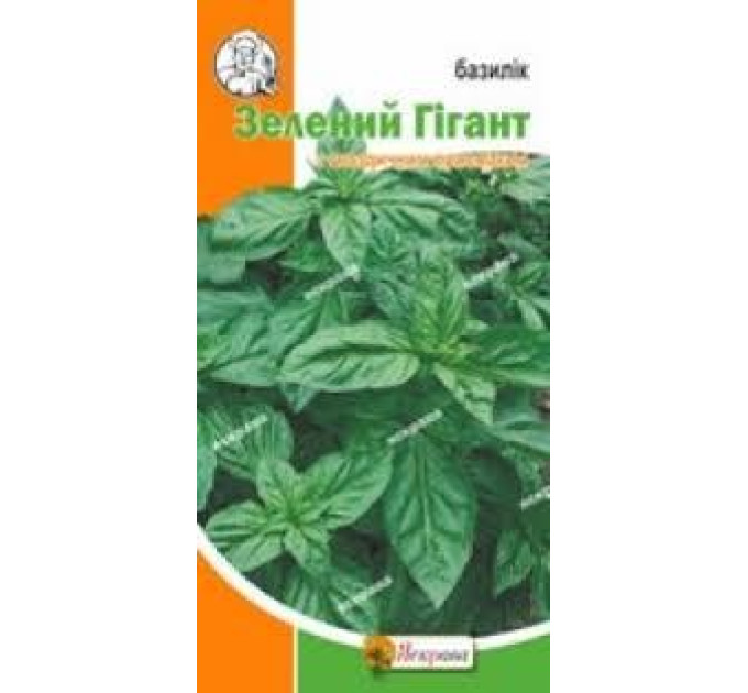 Насіння Базилік Зелений Гігант, 0.3 гр