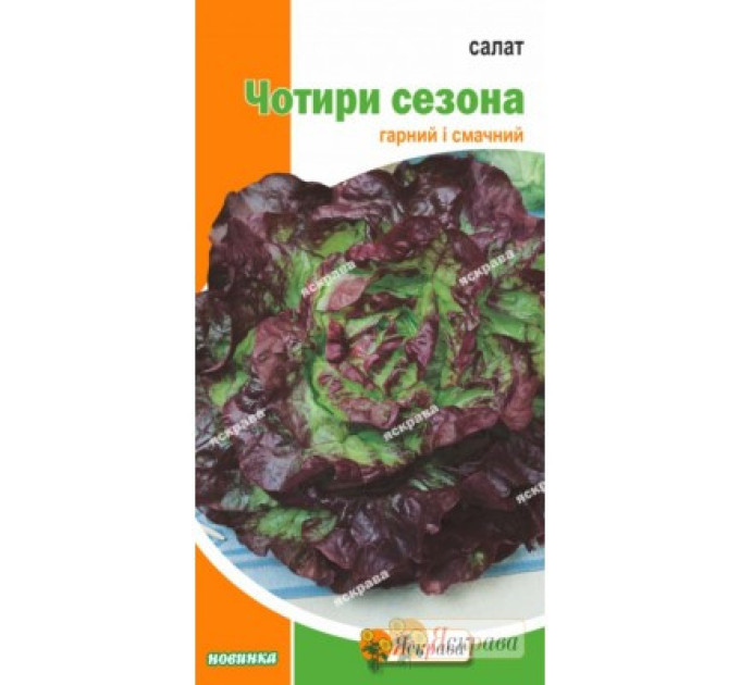 Семена салата "Четыре сезона", 1 г