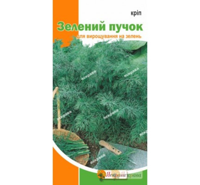 Семена укропа кустового "Зеленый пучок", 5 г