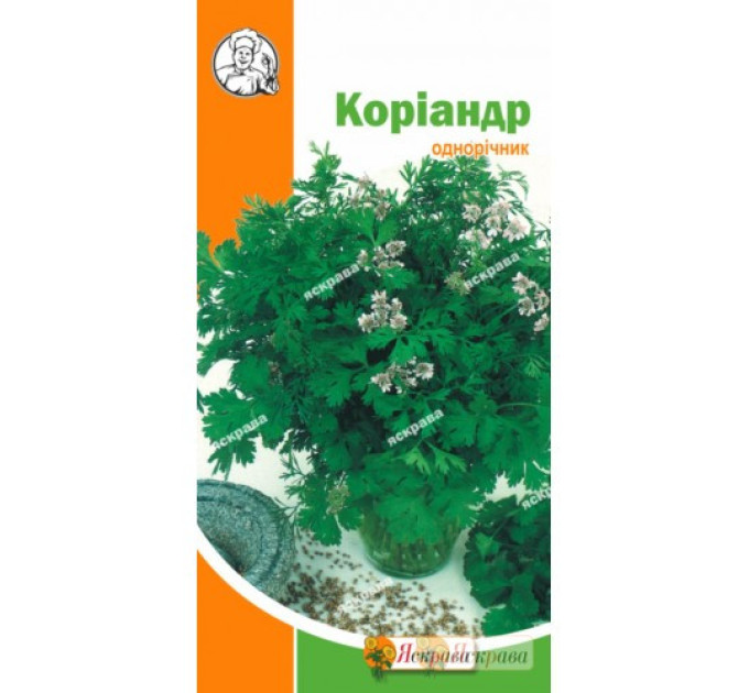 Семена Кориандр , 2 гр